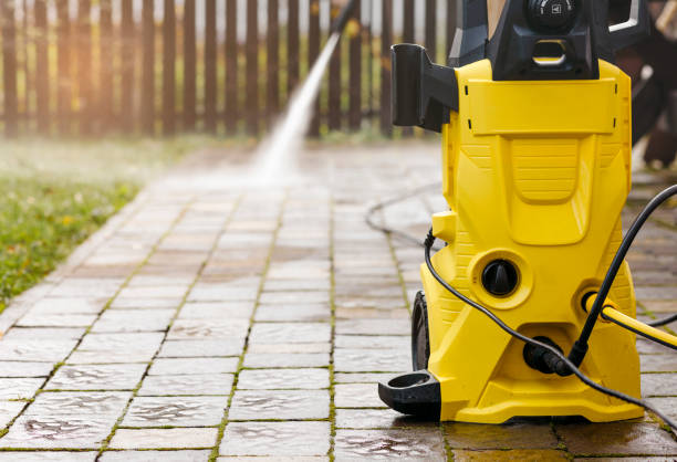Animal Enclosure Cleaning in Vista Center, NJ